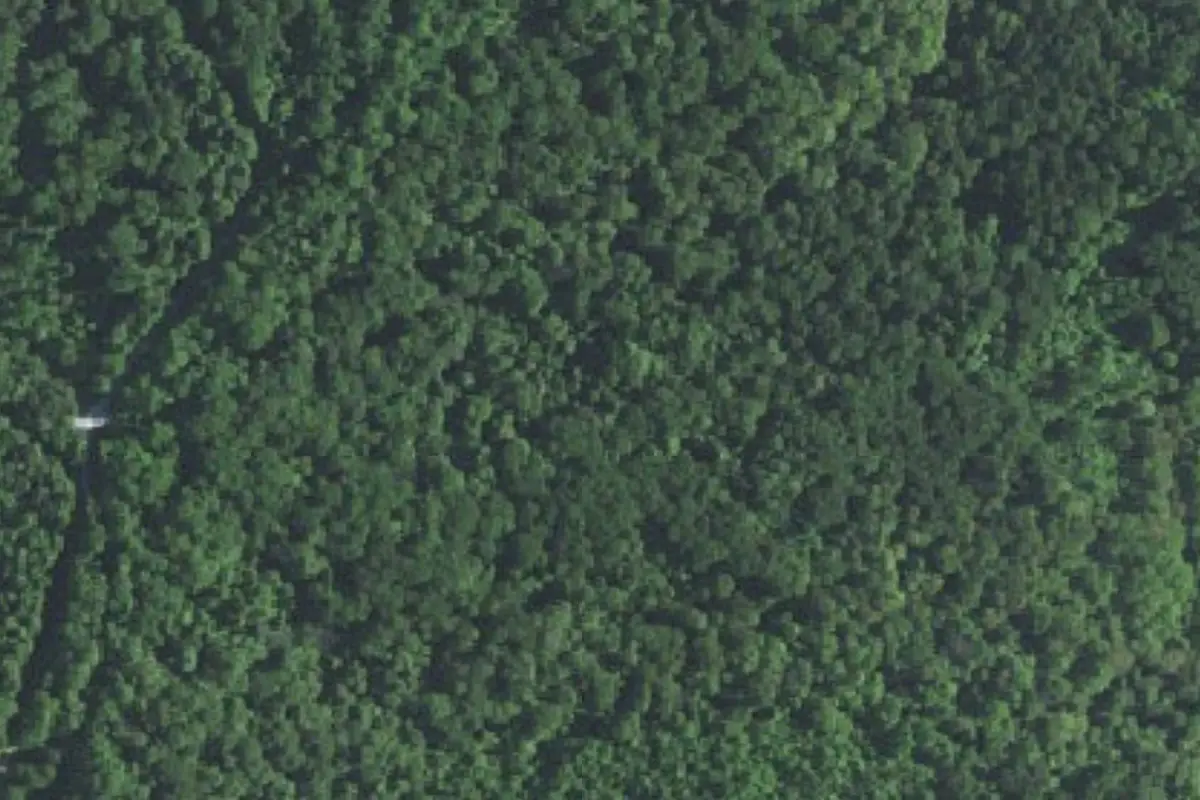 Aerial view of Morgan-Monroe State Forest