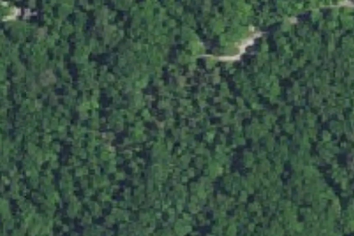 Aerial view of Salamonie River State Forest
