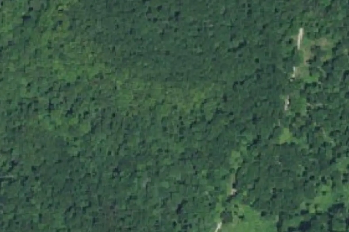 Aerial view of Backcountry campsites (2 sites)